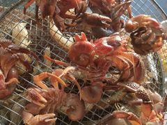 -海味当家·蒸锅海鲜(星海公园店)