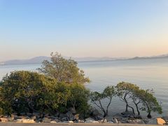 -深圳湾公园(南山区)
