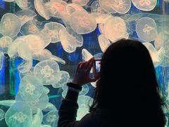 -左海海底世界