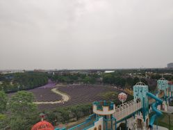 -季高兔窝窝亲子园(上海薰衣草公园店)