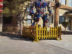 -南宫五洲植物乐园