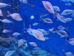 -成都浩海立方海洋公园