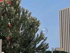 -长白岛森林公园