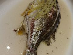 油盐焗立鱼-花城苑广府菜(侨鑫店)