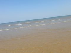 -日照海滨国家森林公园