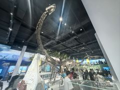 -国家自然博物馆