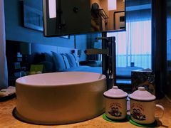 -上海浦东康桥绿地假日酒店