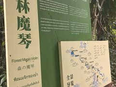 -莫里热带雨林景区