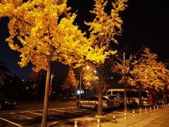 -大连人民广场