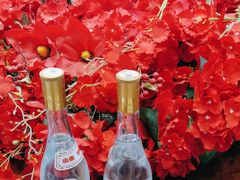 -高老庄新家宴(北斗星广场店)