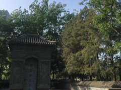 -西海子公园
