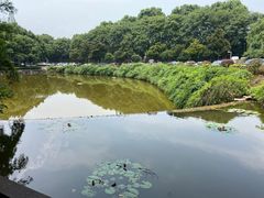 -南京国际会议大酒店