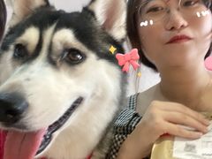 -Husky Go! 哈士奇体验馆·宠物咖啡厅狗咖