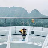 上山有点累，下山可以坐旱梯