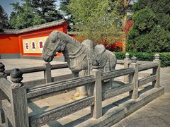 -洛阳白马寺