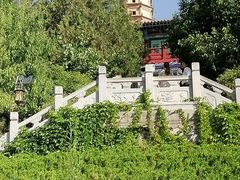 -白塔山公园