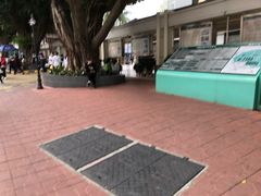 -深圳市人民医院(留医部)