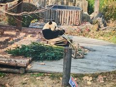 -大连森林动物园