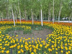 -长春公园(普阳街道)