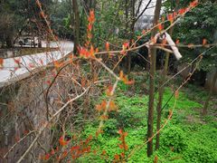 -重庆交通大学-1食堂