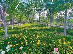 -西海子公园