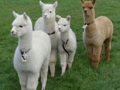 -云漫湖生态度假公园