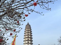 -开元寺塔