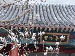 -颐和园