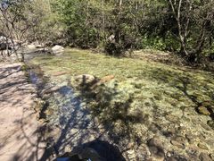 -玉渡山自然风景区