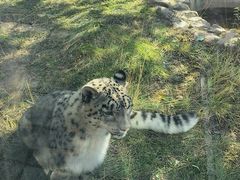 -青藏高原野生动物园