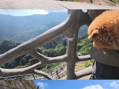 -雁荡山风景名胜区