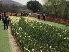 -白马涧龙池景区