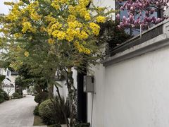 -成都院坝精品私汤民宿酒店