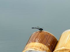 -天目溪漂流
