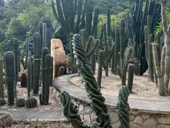-深圳仙湖植物园