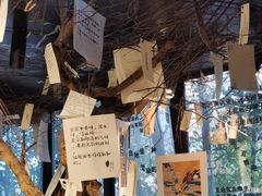 -橡皮书店(翠湖北路店)