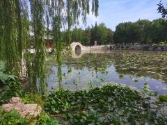 -莲池书院博物馆