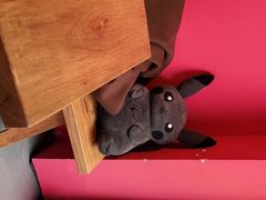 -Punchline Coffee&Roaster(同济大学店)