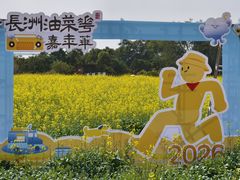 -长洲岛