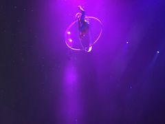 -珠海横琴长隆《卡卡虎奇遇记》