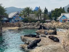 -珠海长隆海洋王国