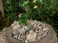 -小榄人家酒楼(民安店)