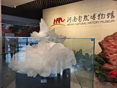 -河南自然博物馆