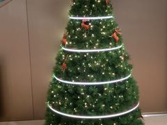 -深圳湾万象城(南山店)