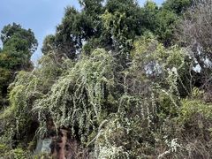 -舒家湾天主教堂