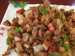 孜然羊肉-正阳春鸭子楼(汉沽店)