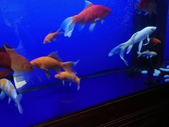 -知足堂养生会所(碑亭巷店)