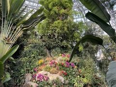 -郑州植物园