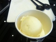 -BLACKSWAN黑天鹅(环球店)
