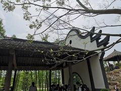 -东平国家森林公园